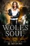 [Guardians of the Fae Realms 02] • Wolf's Soul